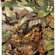 Illustration for article titled A tale of the far future, when humans have evolved to the size of insects
